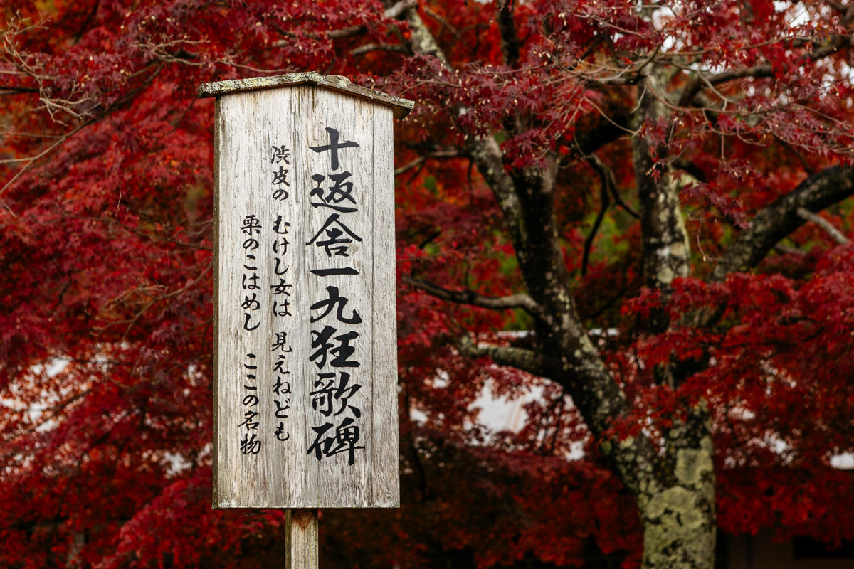 Япония — это страна, где визуальная гармония возведена в абсолют. Владимирский фотограф Владимир Никонов отправился в путешествие по «Золотому треугольнику» Японии в самый живописный период — сезон красных клёнов. О том, почему в Хаконе туман оказался ценнее вида на Фудзи, как японцы реагируют на уличную съемку и почему даже обычные канализационные люки могут стать объектом искусства, — в нашем интервью.