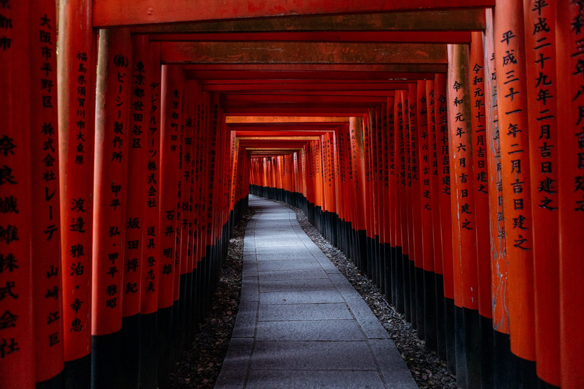 Япония — это страна, где визуальная гармония возведена в абсолют. Владимирский фотограф Владимир Никонов отправился в путешествие по «Золотому треугольнику» Японии в самый живописный период — сезон красных клёнов. О том, почему в Хаконе туман оказался ценнее вида на Фудзи, как японцы реагируют на уличную съемку и почему даже обычные канализационные люки могут стать объектом искусства, — в нашем интервью.