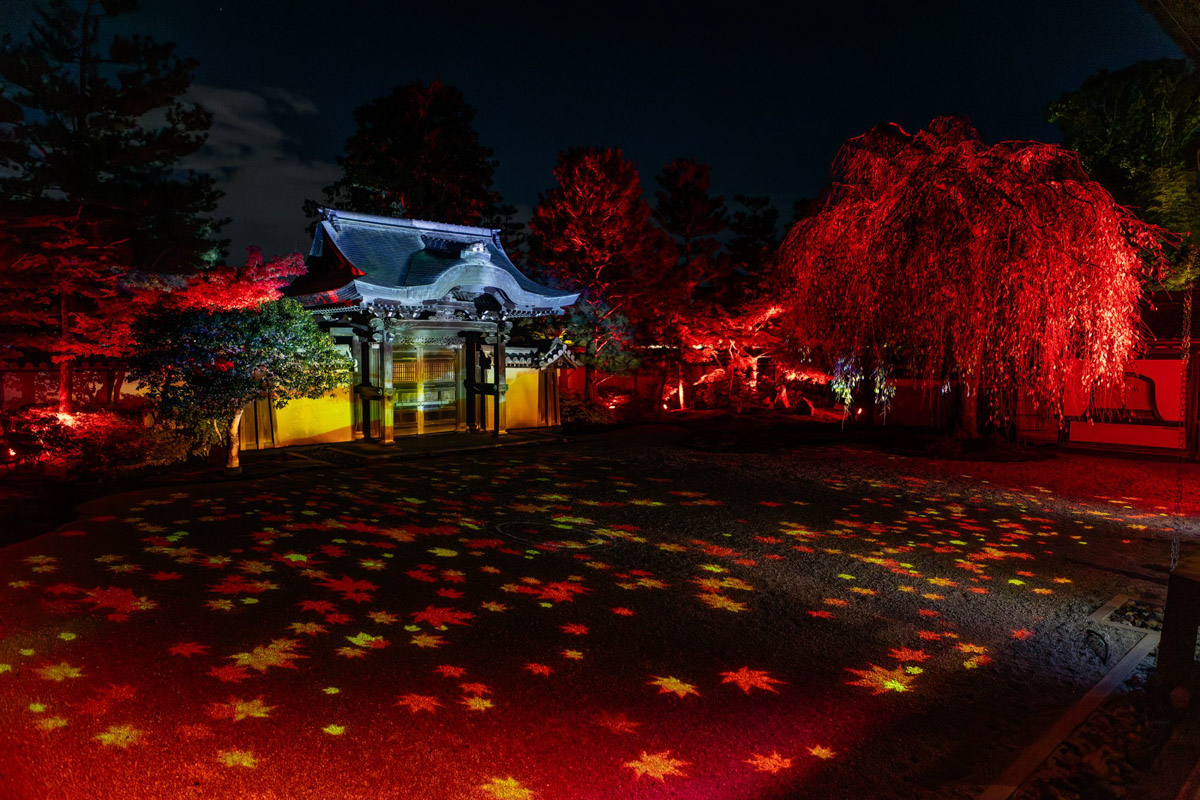 Япония — это страна, где визуальная гармония возведена в абсолют. Владимирский фотограф Владимир Никонов отправился в путешествие по «Золотому треугольнику» Японии в самый живописный период — сезон красных клёнов. О том, почему в Хаконе туман оказался ценнее вида на Фудзи, как японцы реагируют на уличную съемку и почему даже обычные канализационные люки могут стать объектом искусства, — в нашем интервью.