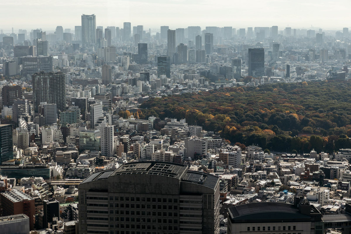 Япония — это страна, где визуальная гармония возведена в абсолют. Владимирский фотограф Владимир Никонов отправился в путешествие по «Золотому треугольнику» Японии в самый живописный период — сезон красных клёнов. О том, почему в Хаконе туман оказался ценнее вида на Фудзи, как японцы реагируют на уличную съемку и почему даже обычные канализационные люки могут стать объектом искусства, — в нашем интервью.