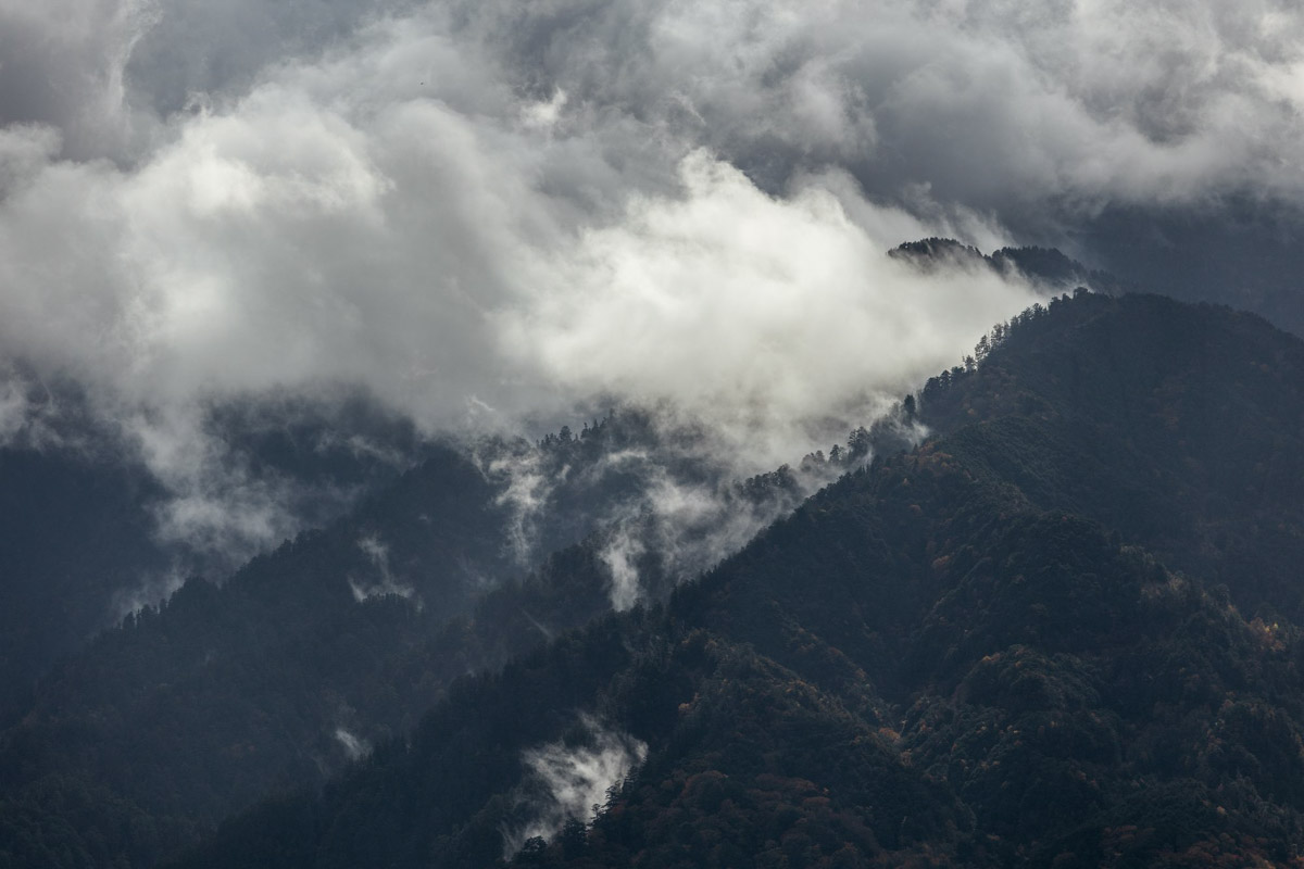 Япония — это страна, где визуальная гармония возведена в абсолют. Владимирский фотограф Владимир Никонов отправился в путешествие по «Золотому треугольнику» Японии в самый живописный период — сезон красных клёнов. О том, почему в Хаконе туман оказался ценнее вида на Фудзи, как японцы реагируют на уличную съемку и почему даже обычные канализационные люки могут стать объектом искусства, — в нашем интервью.