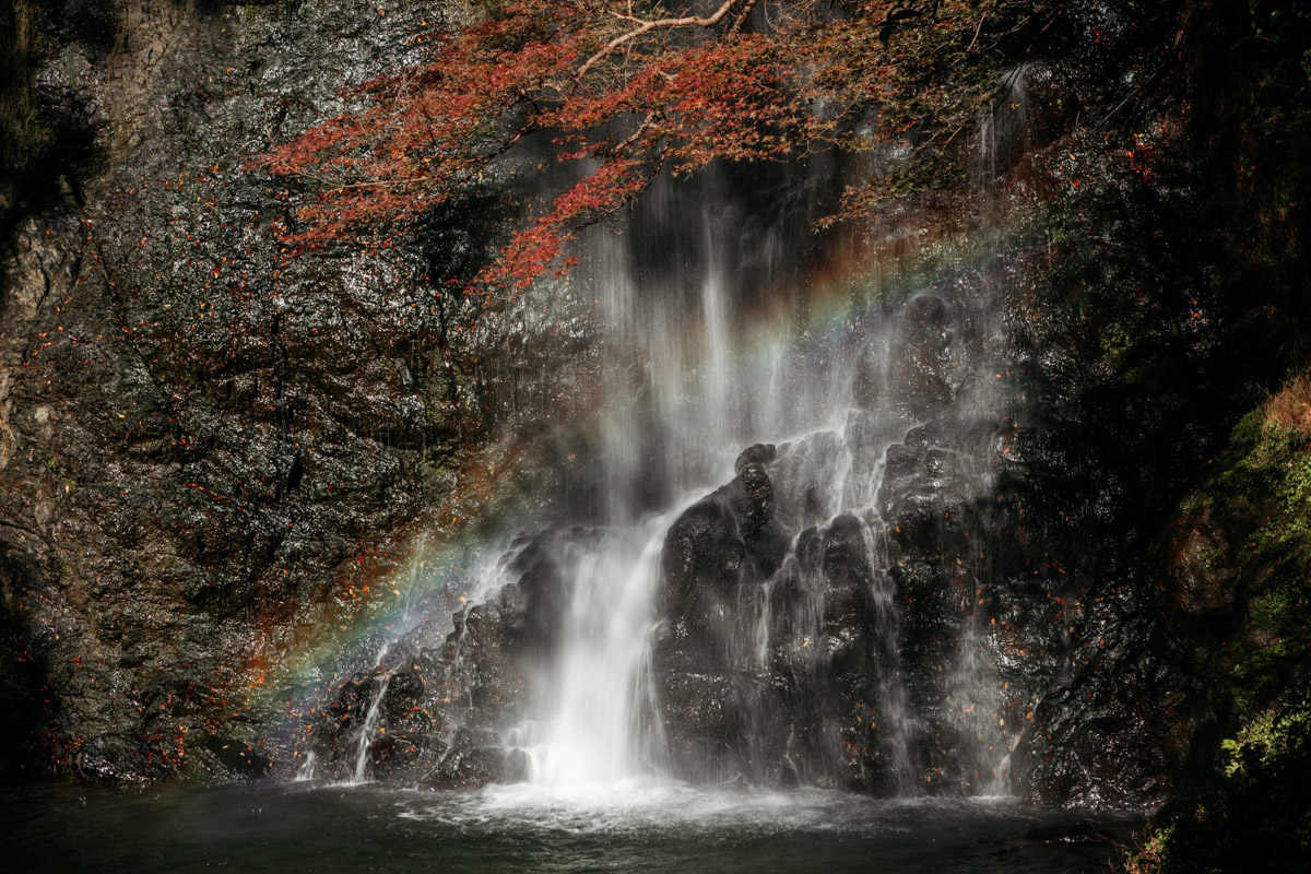 Япония — это страна, где визуальная гармония возведена в абсолют. Владимирский фотограф Владимир Никонов отправился в путешествие по «Золотому треугольнику» Японии в самый живописный период — сезон красных клёнов. О том, почему в Хаконе туман оказался ценнее вида на Фудзи, как японцы реагируют на уличную съемку и почему даже обычные канализационные люки могут стать объектом искусства, — в нашем интервью.