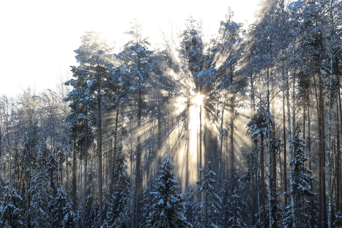 Пока одни не выходят лишний раз на улицу из-за морозов, другие спешат ему навстречу, чтобы снять настоящую русскую зиму. И кадры получаются просто волшебными: от дуги из пара на закате до покрывшейся инеем телевышки. «Ключ-Медиа» собрал самые красивые снимки.