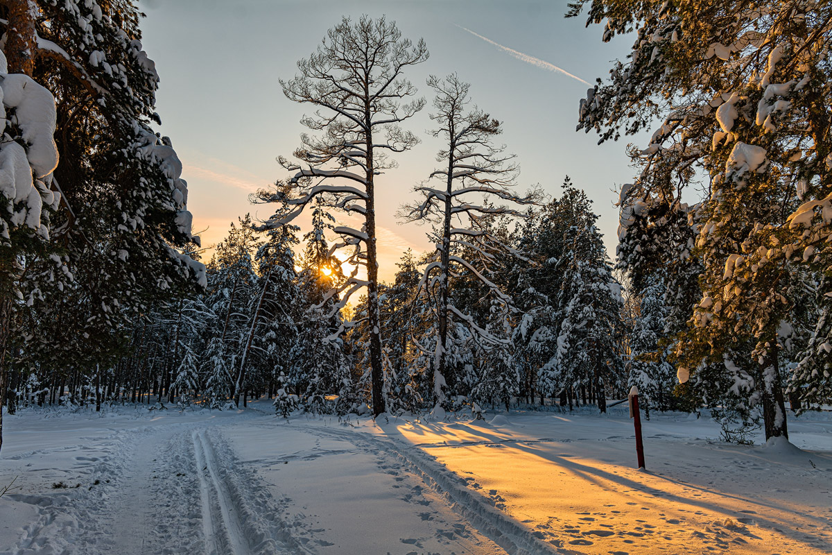 Пока одни не выходят лишний раз на улицу из-за морозов, другие спешат ему навстречу, чтобы снять настоящую русскую зиму. И кадры получаются просто волшебными: от дуги из пара на закате до покрывшейся инеем телевышки. «Ключ-Медиа» собрал самые красивые снимки.