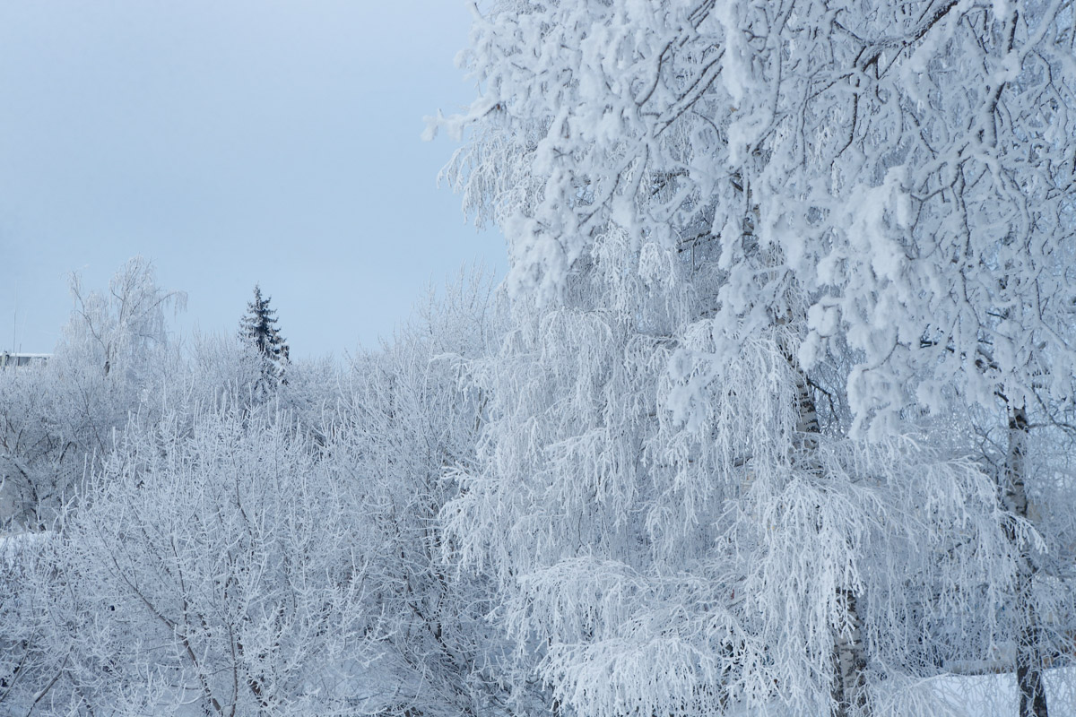 Пока одни не выходят лишний раз на улицу из-за морозов, другие спешат ему навстречу, чтобы снять настоящую русскую зиму. И кадры получаются просто волшебными: от дуги из пара на закате до покрывшейся инеем телевышки. «Ключ-Медиа» собрал самые красивые снимки.