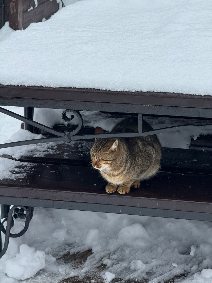 Существует стереотип, будто Абхазия застряла в далеком прошлом. Однако, как известно, сойтись в едином мнении сложно. Владимирская танцовщица Ника Мозгалева оказалась в этой стране всего на один день. Удалось ли ей насладиться местным колоритом, девушка рассказала нашему изданию.