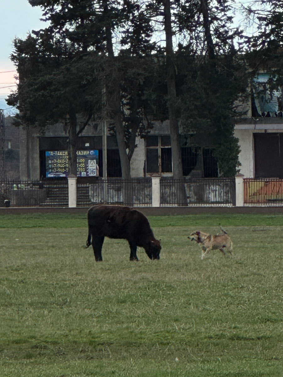 Существует стереотип, будто Абхазия застряла в далеком прошлом. Однако, как известно, сойтись в едином мнении сложно. Владимирская танцовщица Ника Мозгалева оказалась в этой стране всего на один день. Удалось ли ей насладиться местным колоритом, девушка рассказала нашему изданию.