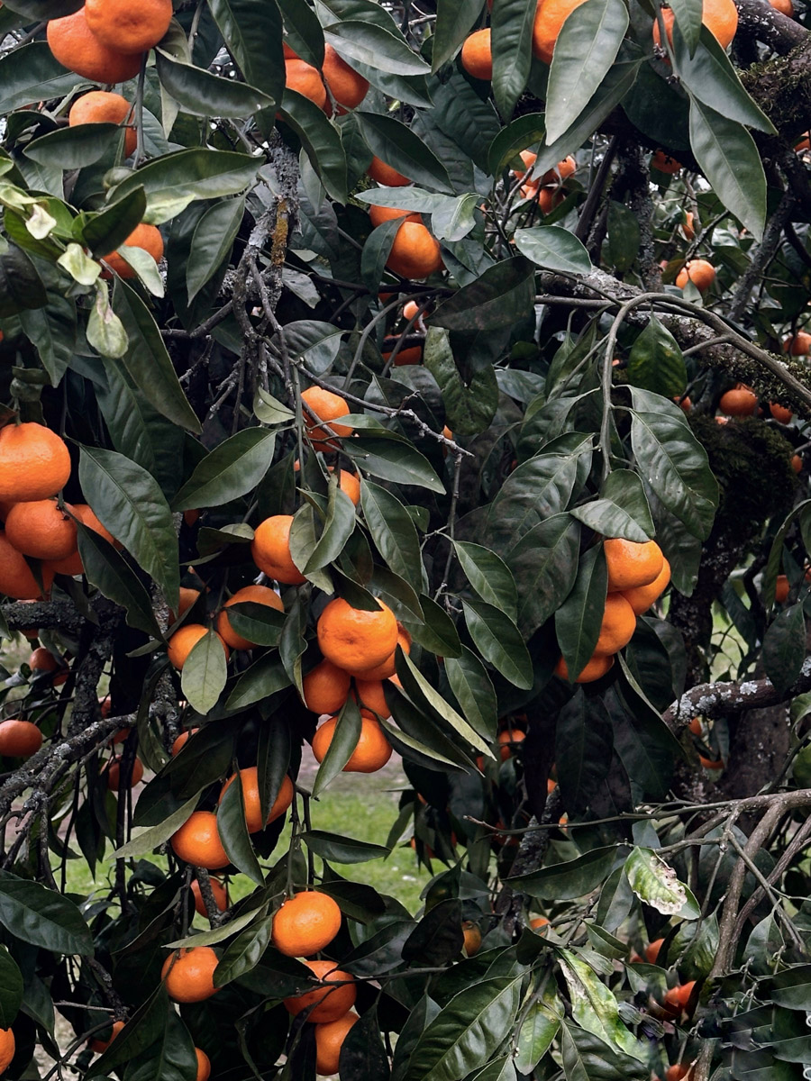 Существует стереотип, будто Абхазия застряла в далеком прошлом. Однако, как известно, сойтись в едином мнении сложно. Владимирская танцовщица Ника Мозгалева оказалась в этой стране всего на один день. Удалось ли ей насладиться местным колоритом, девушка рассказала нашему изданию.