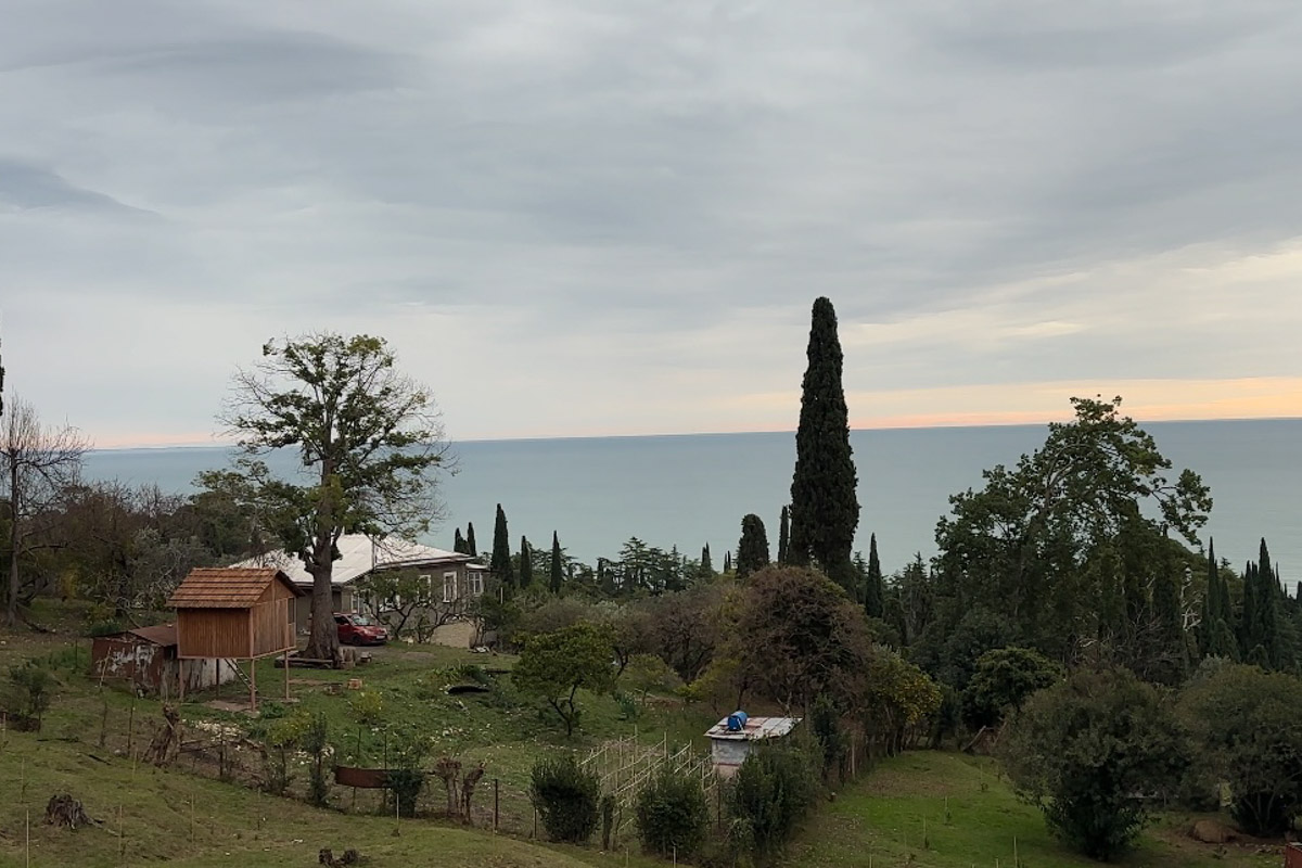 Существует стереотип, будто Абхазия застряла в далеком прошлом. Однако, как известно, сойтись в едином мнении сложно. Владимирская танцовщица Ника Мозгалева оказалась в этой стране всего на один день. Удалось ли ей насладиться местным колоритом, девушка рассказала нашему изданию.