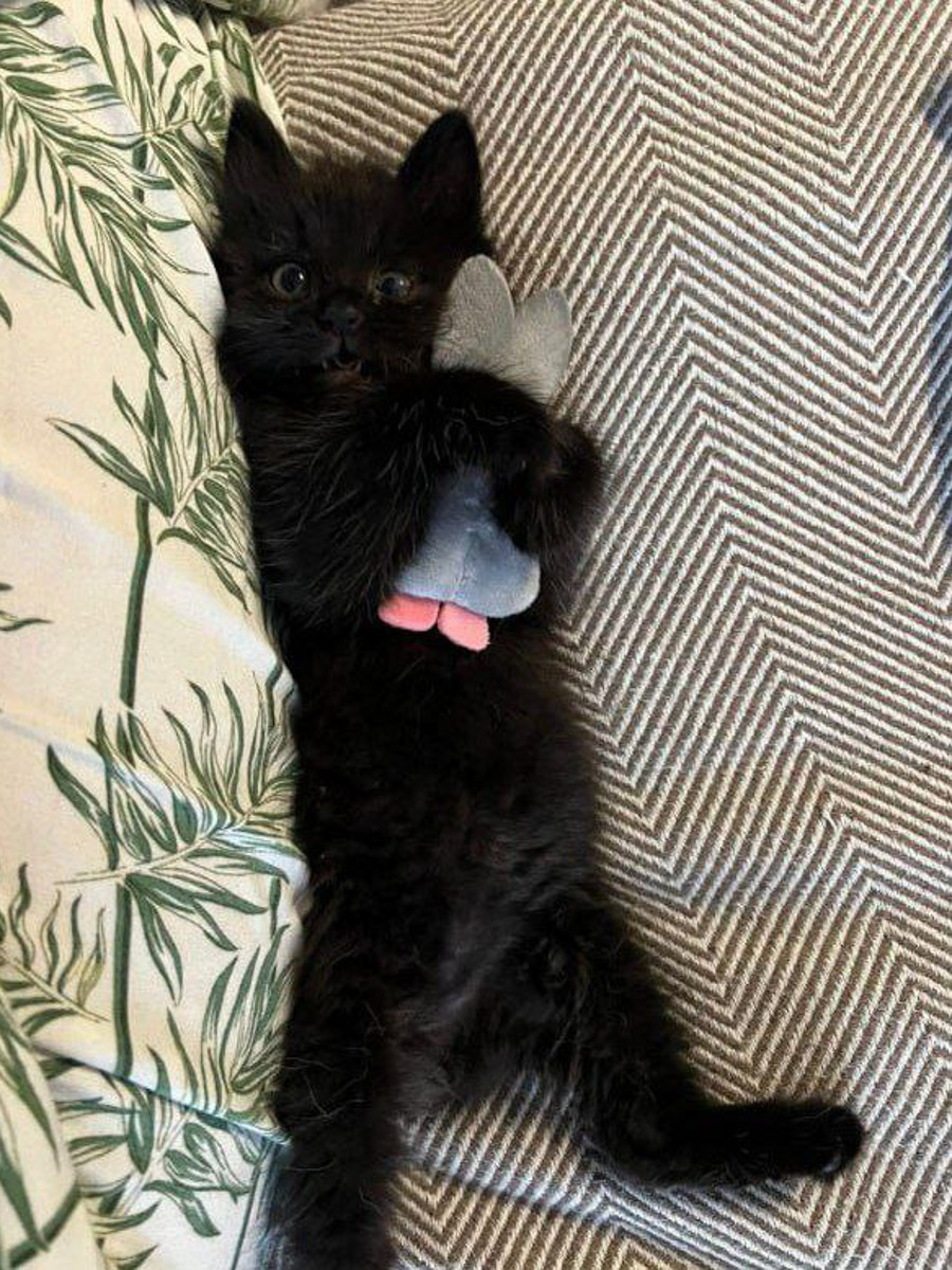 Добро всегда побеждает! Данную аксиому знает каждый ребенок, однако во взрослой жизни реальность часто бывает суровой. И как же порой не хватает историй про благородные поступки за обычное спасибо в ответ… Пусть говорят, что хорошими делами прославиться нельзя, «Ключ-Медиа» готов с уверенностью это опровергнуть.