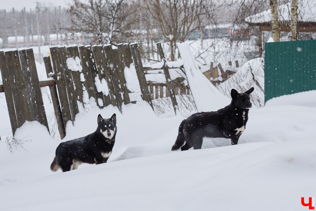 Во Владимире анонсировали создание туристического маршрута от вокзала до филармонии. Пока инициатива звучит многообещающе. Главное, чтобы к мнению жителей прислушались. У них точно найдется что сказать, как убедился «Ключ-Медиа».