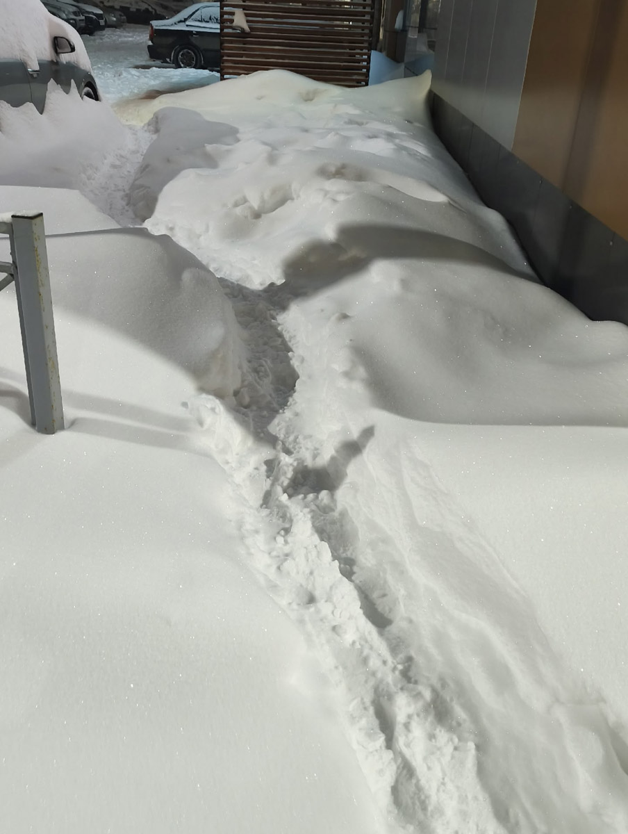 Владимир пережил самый настоящий транспортный коллапс. К снежному армагеддону, затормозившему движение сразу на всех улицах, добавился рухнувший на улице Погодина столб контактной сети. В результате микрорайон Доброе буквально парализовало. Жителям областного центра пришлось штурмовать переполненные автобусы, коротать время в пробках и на остановках или добираться до дома пешком. Комментарии очевидцев — в нашем щедром на эмоции репортаже.