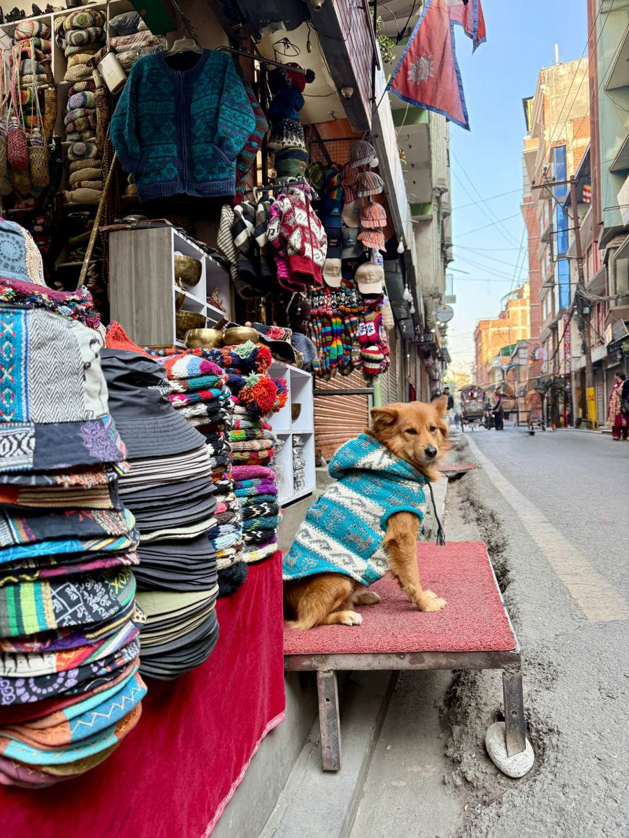 Преподавательница английского языка Татьяна Рубцова за свою жизнь посетила уже 31 страну. И это число продолжает расти. Буквально на днях она вернулась из Катманду — красочной столицы Непала. А после рассказала «Ключ-Медиа» о своей страсти к изучению разных уголков планеты и впечатлениях, полученных в пути.