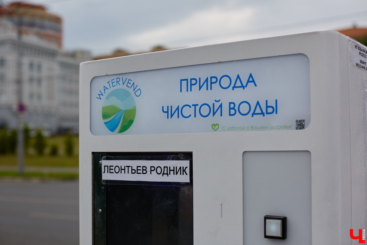 В этом году «зеленая трансформация» Владимира затронет несколько главнейших локаций областного центра. Какие еще точки на карте помимо городских ворот вошли в список местных садовников? И что по этому поводу думают независимые эксперты? Разобраться помогла ландшафтный архитектор Полина Алехина.