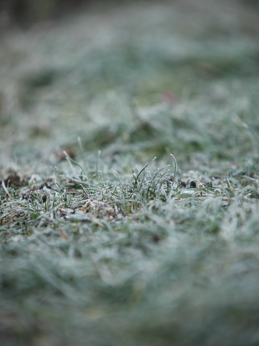 Минувшая и нынешняя зимы выдались аномальными. Но если начало 2025-го запомнилось апрельским вайбом, то старт 2026-го удивил небывалыми сугробами и морозами. Подобная разница не осталась незамеченной — владимирские фотографы поделились с «Ключ-Медиа» сравнительными кадрами двух таких непохожих друг на друга сезонов.