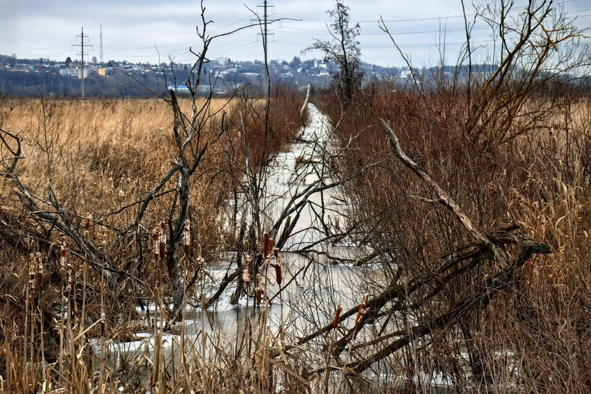 Минувшая и нынешняя зимы выдались аномальными. Но если начало 2025-го запомнилось апрельским вайбом, то старт 2026-го удивил небывалыми сугробами и морозами. Подобная разница не осталась незамеченной — владимирские фотографы поделились с «Ключ-Медиа» сравнительными кадрами двух таких непохожих друг на друга сезонов.