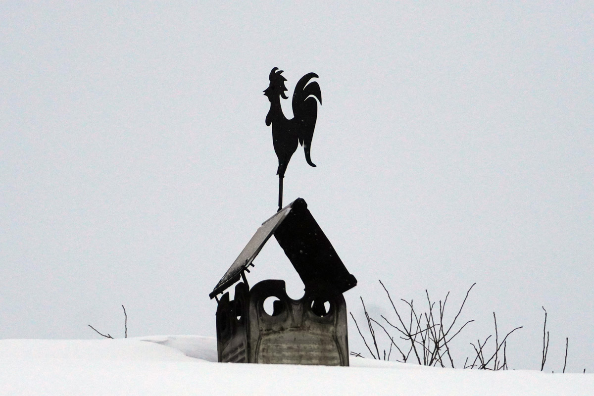 Среди декоративных элементов на богатых фасадах дымник легко теряется. Колпак для трубы, каким бы нарядным он ни был, заметить сложно. Однако наши героини мимо украшений на крышах не проходят. В их фотоколлекции уже более 20 вариантов, найденных в разных городах, в том числе на владимирских улочках.