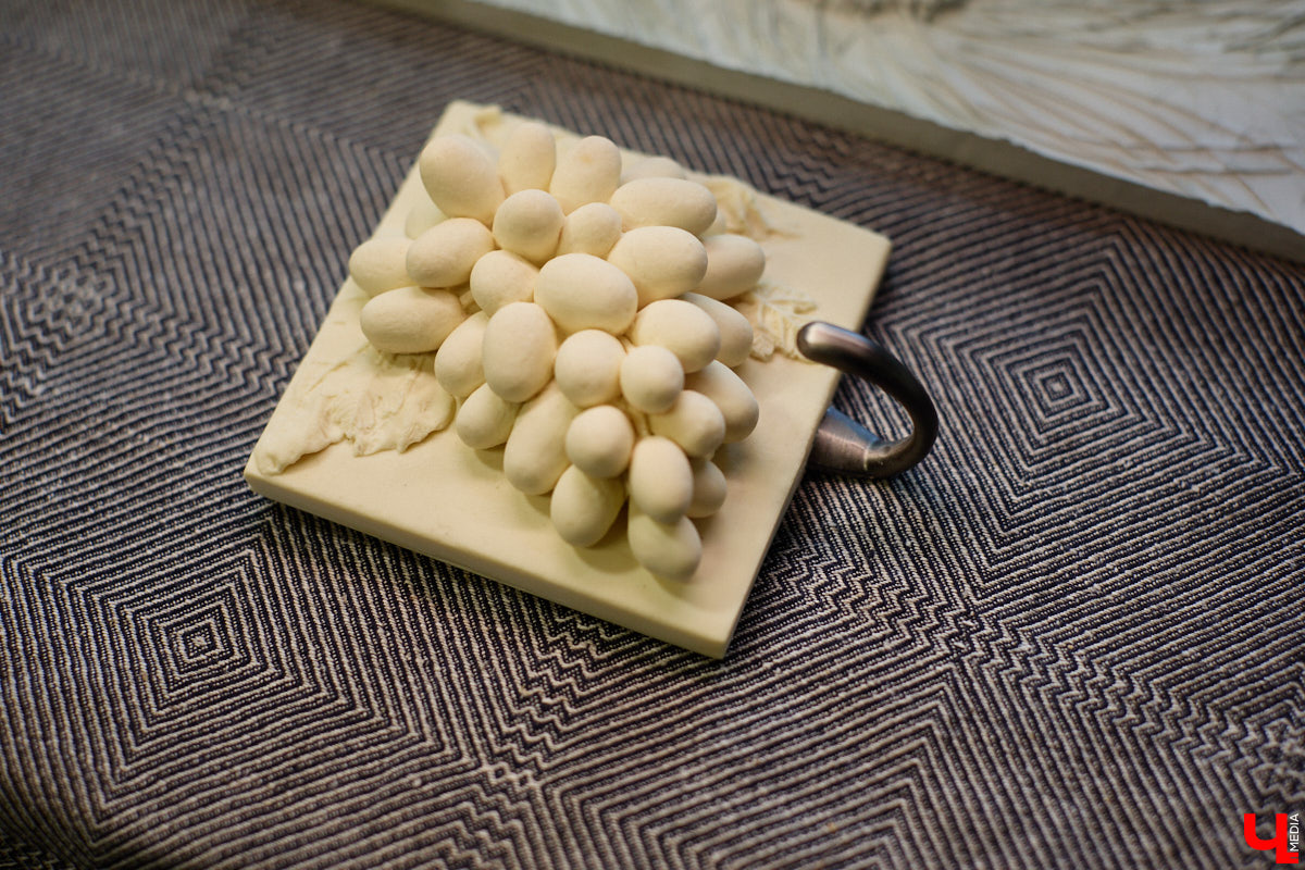 Владимирский реставратор Алексей Нарышкин создает из гипса точные копии белокаменных барельефов, например, Дмитриевского собора. В его коллекции есть улыбающийся лев, грифон и Александр Македонский, словно сошедшие с фасада шедевра мировой архитектуры. Чтобы их воплотить в гипсе, художник несколько месяцев экспериментировал с ингредиентами. И в результате нашел свой секретный компонент. «Ключ-Медиа» побывал в мастерской и узнал все подробности.