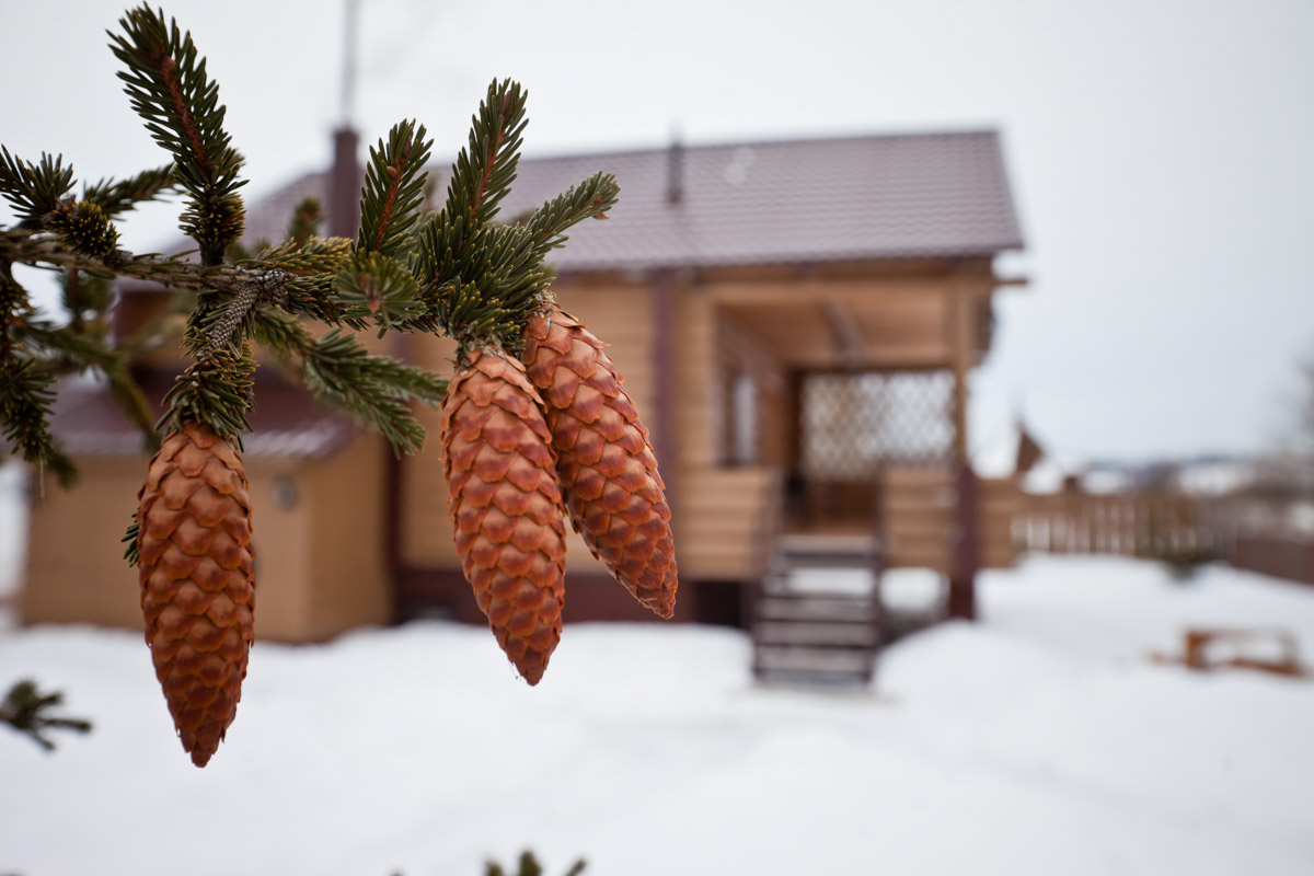 Вы задумывались, как отметить свой день рождения по-особенному? Устроить такой праздник, который точно останется в памяти на долгое время. Кафе и ресторанами никого не удивишь, да и порой там слишком дорого, шумно и тесно. Поэтому лучше рассмотреть новый, современный вариант. Организовать торжество в экопространстве на берегу водохранилища Содышка предлагает барбекю-парк «Зеленый мыс»!