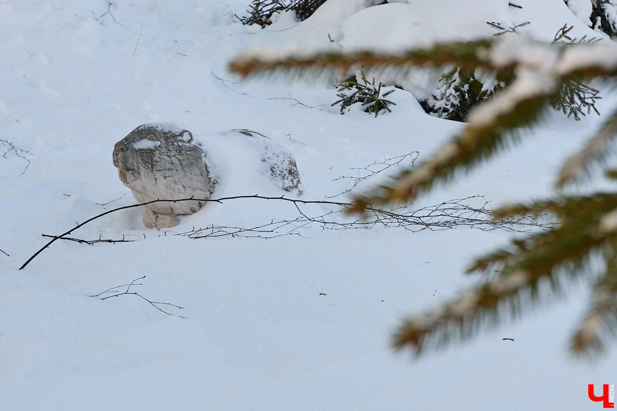 Вы знали, что во Владимире на одной улице могут ужиться бульдог, лев и лиса с вороной, а на заборах отдыхают… коровы. Весь этот удивительный зоопарк представлен в виде арт-объектов, изображающих милых и забавных зверей, выполненных из разных материалов. А чтобы наши читатели не блуждали по всему городу в поисках композиций, мы собрали и запечатлели их сами. Любуйтесь и приходите смотреть фигурки собственными глазами.