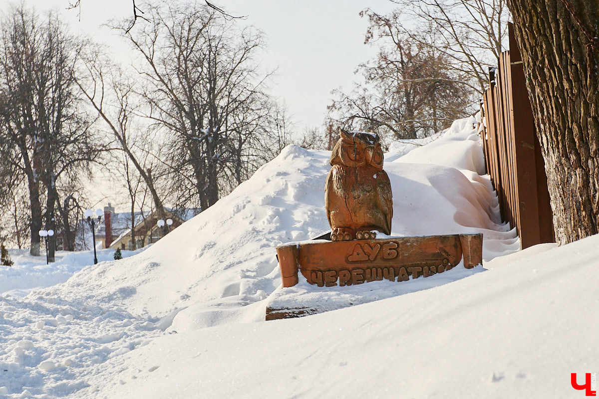 Вы знали, что во Владимире на одной улице могут ужиться бульдог, лев и лиса с вороной, а на заборах отдыхают… коровы. Весь этот удивительный зоопарк представлен в виде арт-объектов, изображающих милых и забавных зверей, выполненных из разных материалов. А чтобы наши читатели не блуждали по всему городу в поисках композиций, мы собрали и запечатлели их сами. Любуйтесь и приходите смотреть фигурки собственными глазами.