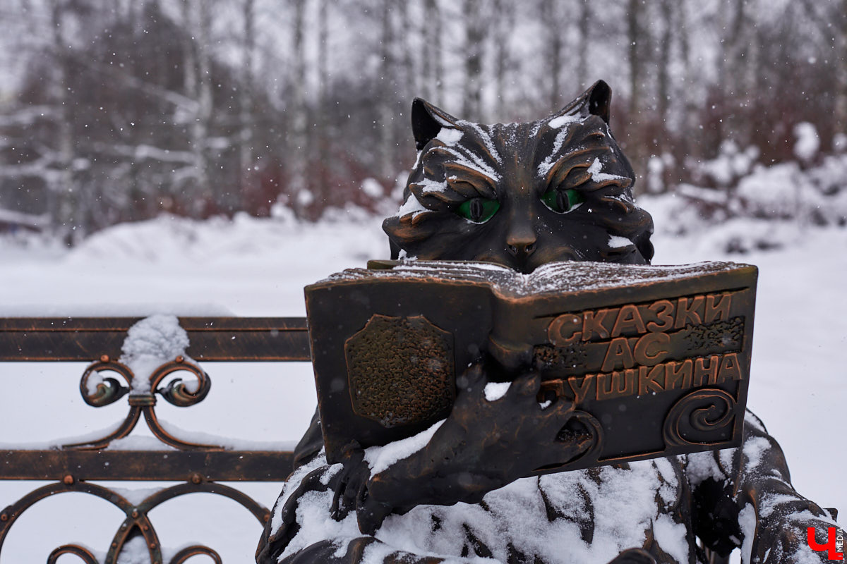 Вы знали, что во Владимире на одной улице могут ужиться бульдог, лев и лиса с вороной, а на заборах отдыхают… коровы. Весь этот удивительный зоопарк представлен в виде арт-объектов, изображающих милых и забавных зверей, выполненных из разных материалов. А чтобы наши читатели не блуждали по всему городу в поисках композиций, мы собрали и запечатлели их сами. Любуйтесь и приходите смотреть фигурки собственными глазами.