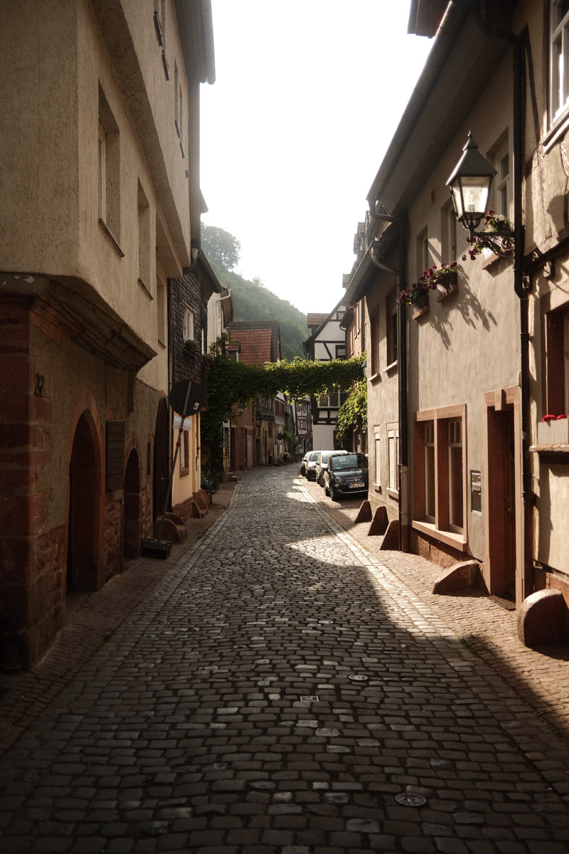 Почти три года назад Анастасия Звягина уехала из областного центра в Германию с одним чемоданом для ручной клади. За это время она успела хорошенько поработать, в том числе в Париже и на Мальдивах, а затем осознанно выбрала размеренную жизнь в баварской глубинке. О том, почему европейские фотостудии проигрывают владимирским и как художнику не потерять себя в бесконечных бюрократических процессах, девушка рассказала нашему изданию.