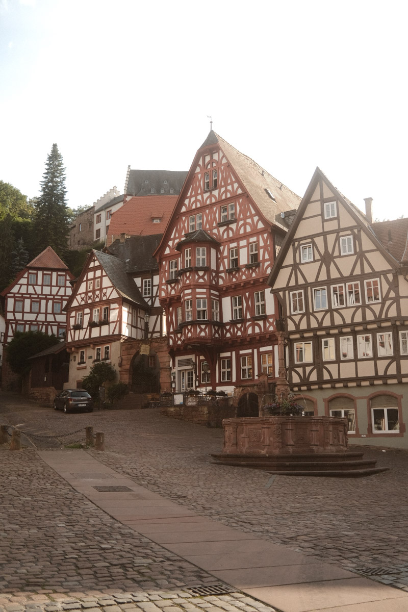 Почти три года назад Анастасия Звягина уехала из областного центра в Германию с одним чемоданом для ручной клади. За это время она успела хорошенько поработать, в том числе в Париже и на Мальдивах, а затем осознанно выбрала размеренную жизнь в баварской глубинке. О том, почему европейские фотостудии проигрывают владимирским и как художнику не потерять себя в бесконечных бюрократических процессах, девушка рассказала нашему изданию.