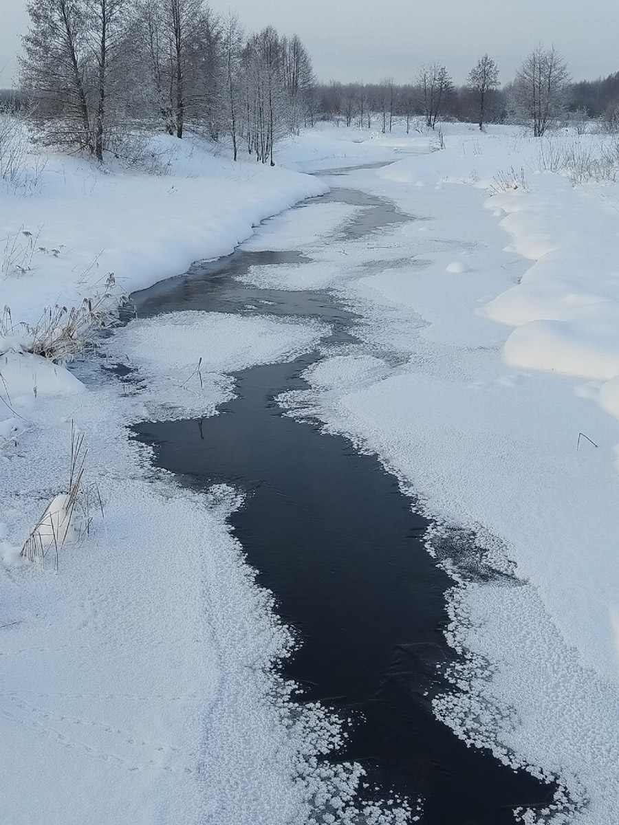 Рыбаки 33-го региона подводят итоги сезона твердой воды. В отличие от прошлого года, на сей раз водоемы Владимирской области трофейными судаками и щуками не порадовали. Сначала долго не мог встать лед, потом закружили метели и ударили морозы. «Ключ-Медиа» узнал, как погода повлияла на клев и попались ли на удочку любителям зимней ловли стоящие экземпляры.
