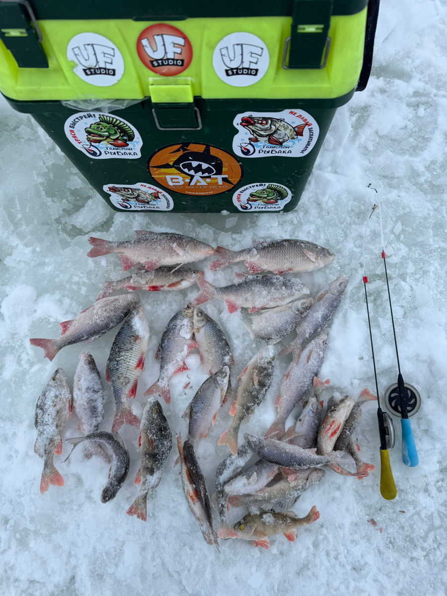 Рыбаки 33-го региона подводят итоги сезона твердой воды. В отличие от прошлого года, на сей раз водоемы Владимирской области трофейными судаками и щуками не порадовали. Сначала долго не мог встать лед, потом закружили метели и ударили морозы. «Ключ-Медиа» узнал, как погода повлияла на клев и попались ли на удочку любителям зимней ловли стоящие экземпляры.