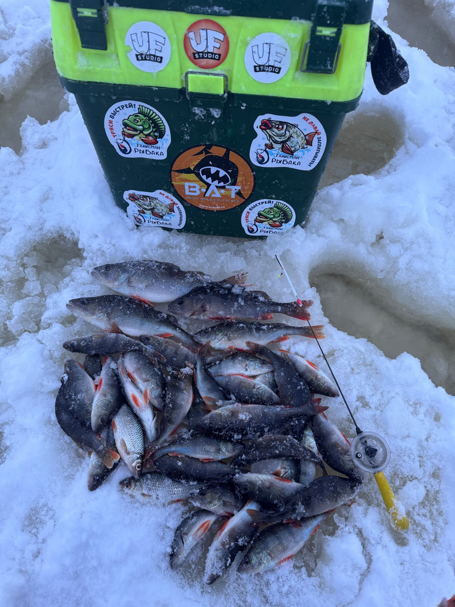 Рыбаки 33-го региона подводят итоги сезона твердой воды. В отличие от прошлого года, на сей раз водоемы Владимирской области трофейными судаками и щуками не порадовали. Сначала долго не мог встать лед, потом закружили метели и ударили морозы. «Ключ-Медиа» узнал, как погода повлияла на клев и попались ли на удочку любителям зимней ловли стоящие экземпляры.