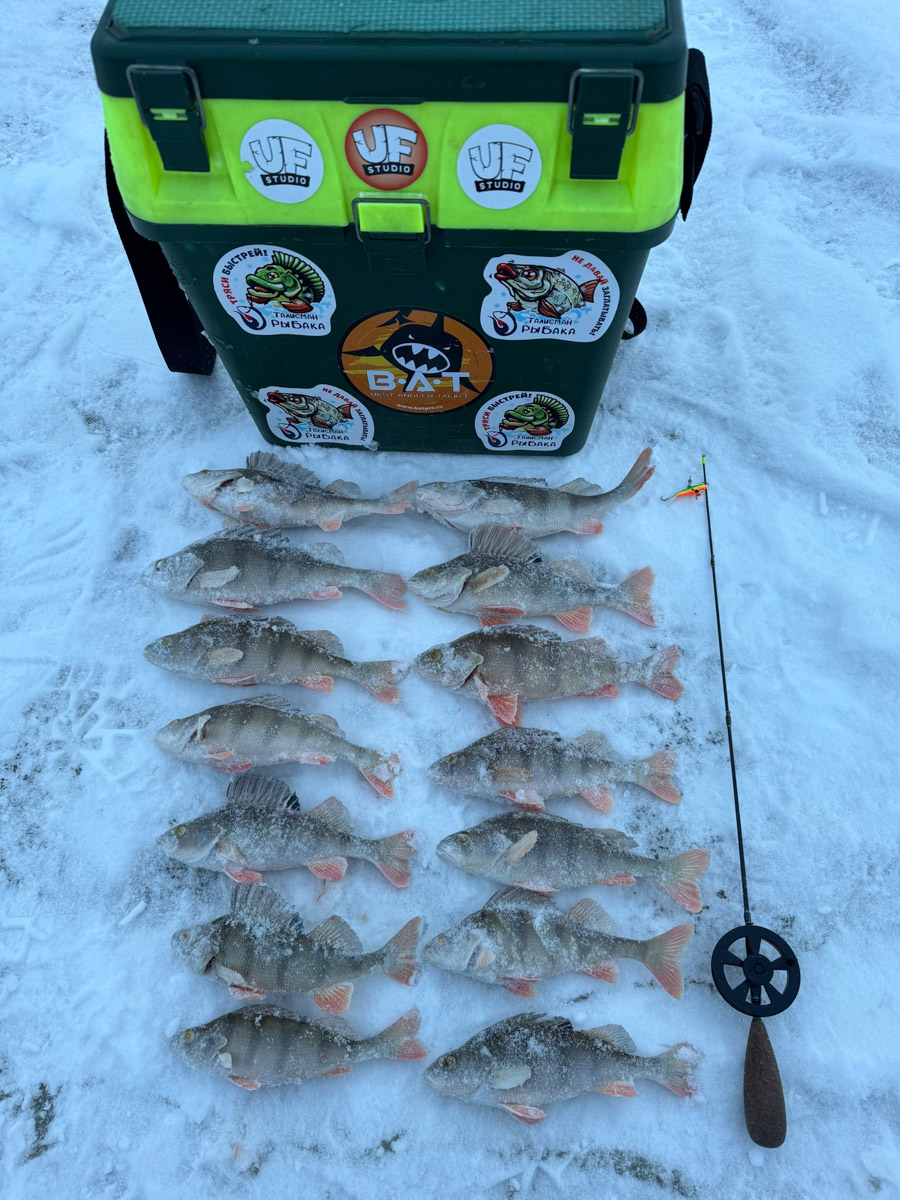 Рыбаки 33-го региона подводят итоги сезона твердой воды. В отличие от прошлого года, на сей раз водоемы Владимирской области трофейными судаками и щуками не порадовали. Сначала долго не мог встать лед, потом закружили метели и ударили морозы. «Ключ-Медиа» узнал, как погода повлияла на клев и попались ли на удочку любителям зимней ловли стоящие экземпляры.