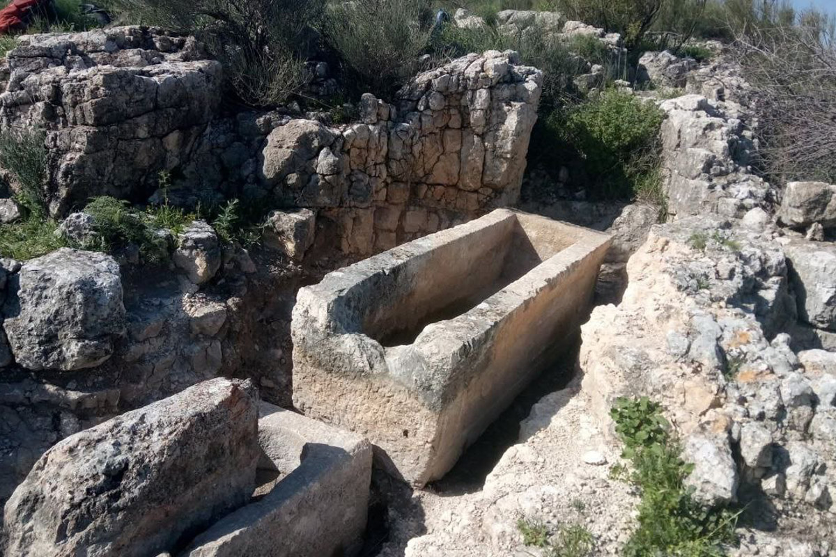 Десять лет назад выпускник владимирского филфака, а ныне серьезный ученый Владимир Пискарев вместе с семьей отправился навстречу ближневосточной авантюре. Сегодня он заведует лабораторией в Хайфском университете, мастерски определяет эпохи по осколкам керамики и находит подземные ходы, в которые никто не заглядывал 1500 лет! Об этой удивительной работе, а также о том, почему израильские дети «дают прикурить» учителям и как выжить в плюс 40, — в нашем интервью.