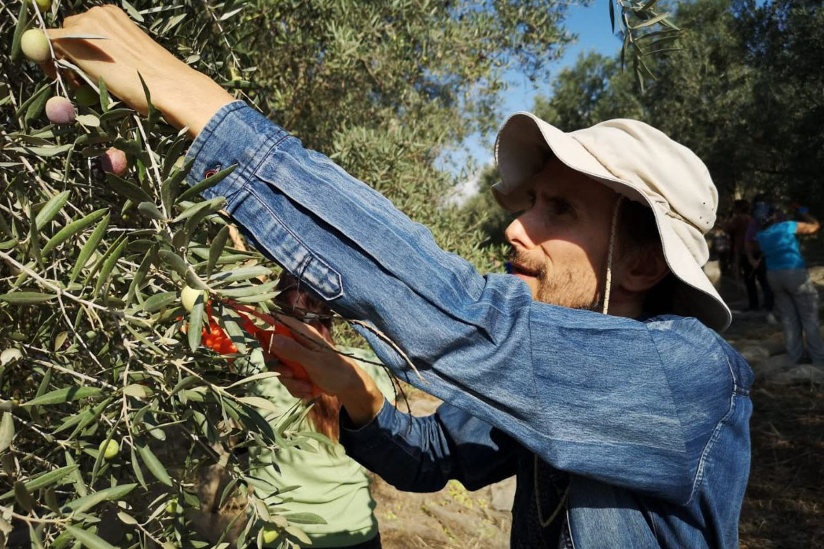 Десять лет назад выпускник владимирского филфака, а ныне серьезный ученый Владимир Пискарев вместе с семьей отправился навстречу ближневосточной авантюре. Сегодня он заведует лабораторией в Хайфском университете, мастерски определяет эпохи по осколкам керамики и находит подземные ходы, в которые никто не заглядывал 1500 лет! Об этой удивительной работе, а также о том, почему израильские дети «дают прикурить» учителям и как выжить в плюс 40, — в нашем интервью.
