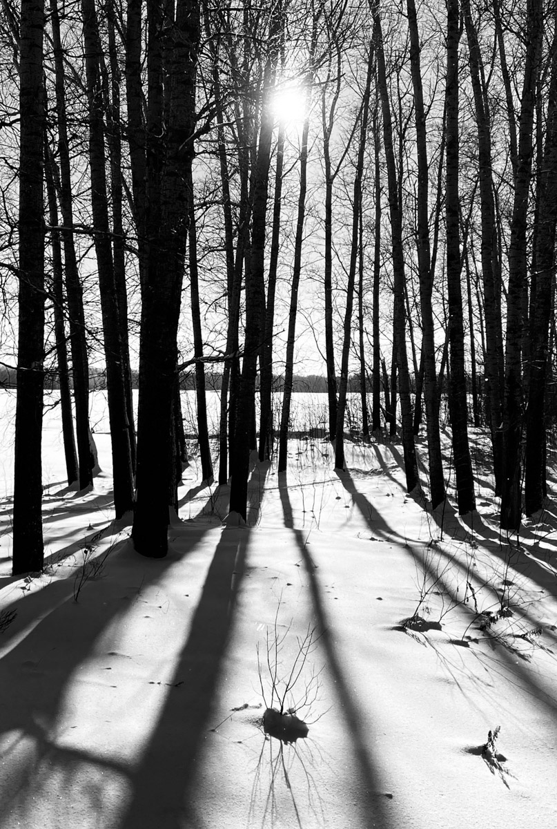 С ноября по март мы лицезреем из окна черно-белую картинку. От нее легко устать, однако фотографы готовы доказать: в монохроме есть свое очарование! «Ключ-Медиа» собрал интересные кадры местных мастеров, умеющих найти красоту в серых буднях.