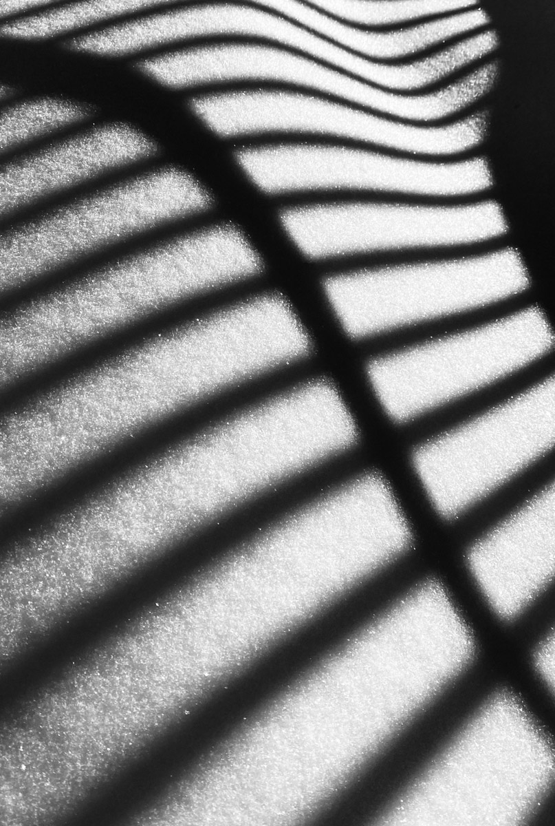 С ноября по март мы лицезреем из окна черно-белую картинку. От нее легко устать, однако фотографы готовы доказать: в монохроме есть свое очарование! «Ключ-Медиа» собрал интересные кадры местных мастеров, умеющих найти красоту в серых буднях.