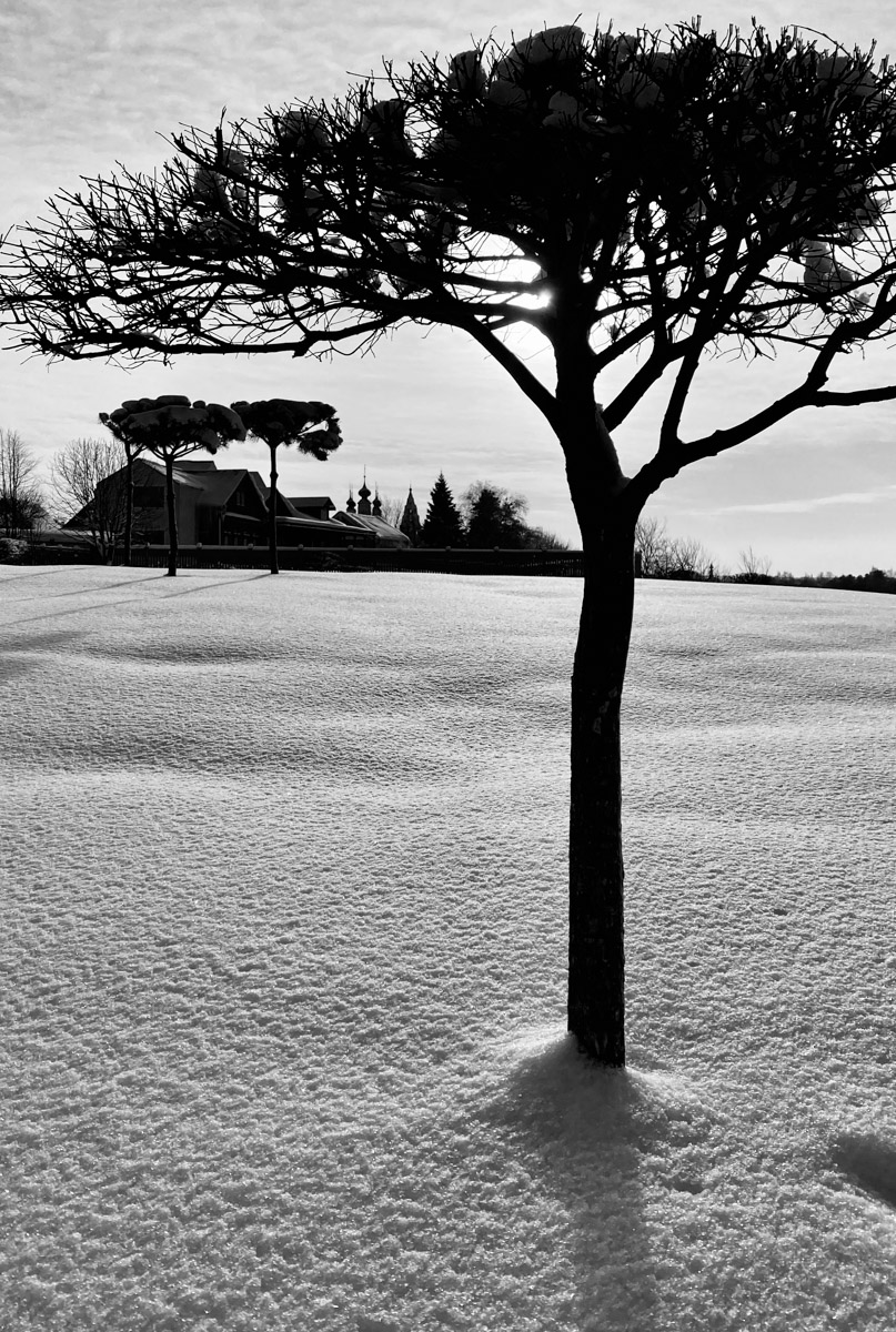 С ноября по март мы лицезреем из окна черно-белую картинку. От нее легко устать, однако фотографы готовы доказать: в монохроме есть свое очарование! «Ключ-Медиа» собрал интересные кадры местных мастеров, умеющих найти красоту в серых буднях.