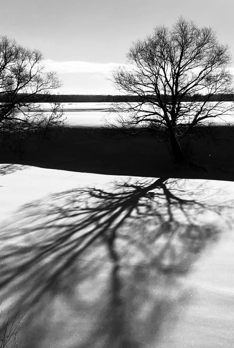 С ноября по март мы лицезреем из окна черно-белую картинку. От нее легко устать, однако фотографы готовы доказать: в монохроме есть свое очарование! «Ключ-Медиа» собрал интересные кадры местных мастеров, умеющих найти красоту в серых буднях.