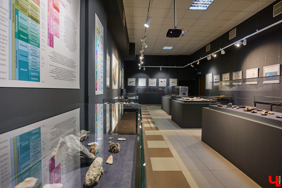 Владимирцам выпал уникальный шанс окунуться в далекое прошлое, за сотни миллионов лет до появления на земле человека. Машина времени работает в Музее природы, где представлены более 220 удивительных находок из каменноугольного, пермского, юрского и мелового периодов, многие из которых обнаружены на территории региона. Именно они послужили образованию известняка — символа владимиро-суздальского белокаменного зодчества.