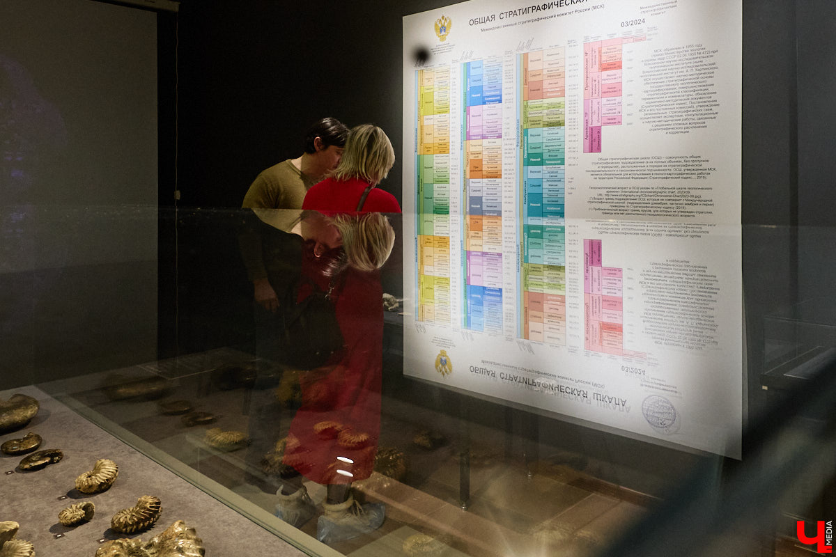 Владимирцам выпал уникальный шанс окунуться в далекое прошлое, за сотни миллионов лет до появления на земле человека. Машина времени работает в Музее природы, где представлены более 220 удивительных находок из каменноугольного, пермского, юрского и мелового периодов, многие из которых обнаружены на территории региона. Именно они послужили образованию известняка — символа владимиро-суздальского белокаменного зодчества.