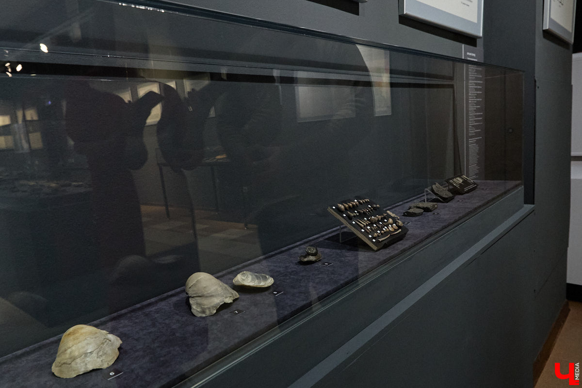 Владимирцам выпал уникальный шанс окунуться в далекое прошлое, за сотни миллионов лет до появления на земле человека. Машина времени работает в Музее природы, где представлены более 220 удивительных находок из каменноугольного, пермского, юрского и мелового периодов, многие из которых обнаружены на территории региона. Именно они послужили образованию известняка — символа владимиро-суздальского белокаменного зодчества.