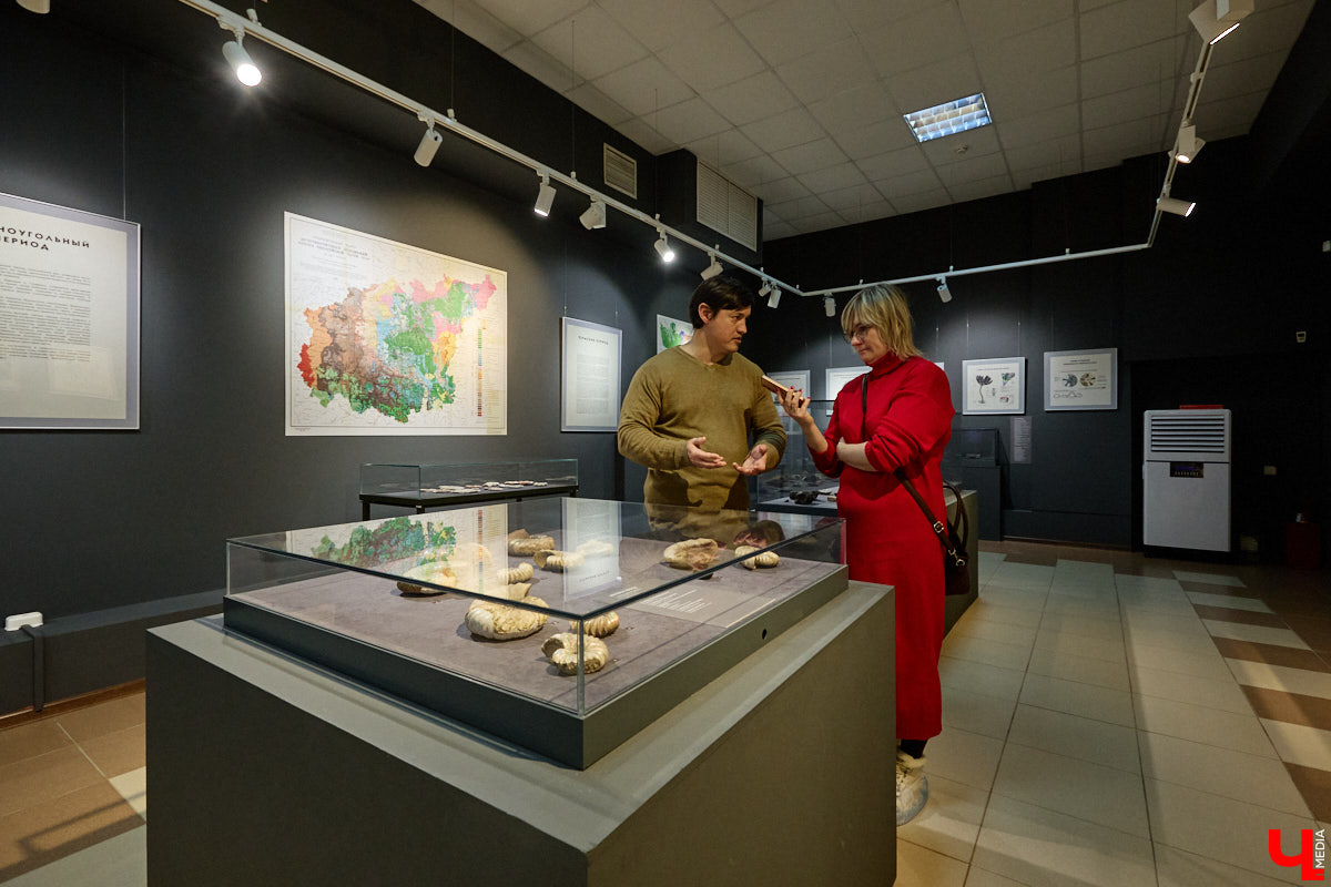 Владимирцам выпал уникальный шанс окунуться в далекое прошлое, за сотни миллионов лет до появления на земле человека. Машина времени работает в Музее природы, где представлены более 220 удивительных находок из каменноугольного, пермского, юрского и мелового периодов, многие из которых обнаружены на территории региона. Именно они послужили образованию известняка — символа владимиро-суздальского белокаменного зодчества.