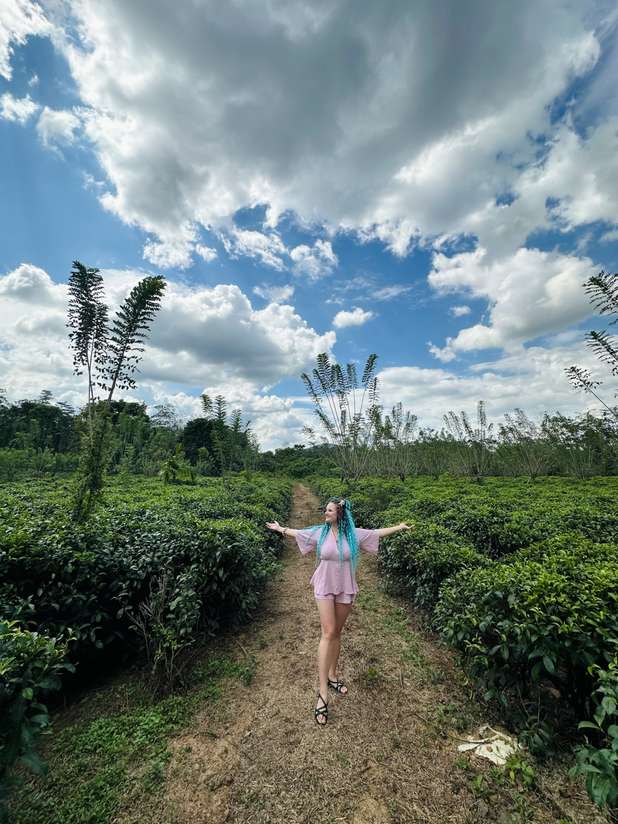 Юлия Покачалова привыкла к свету софитов, съемочным площадкам и плотному концертному графику. Но иногда даже самым активным девушкам стоит нажать на кнопку «Пауза». Поэтому в компании подруги Ольги она отправилась на Шри-Ланку. О том, каково петь русские народные песни в доме ланкийского водителя и почему на острове легко почувствовать себя отпущенной на волю птицей — в нашем материале.