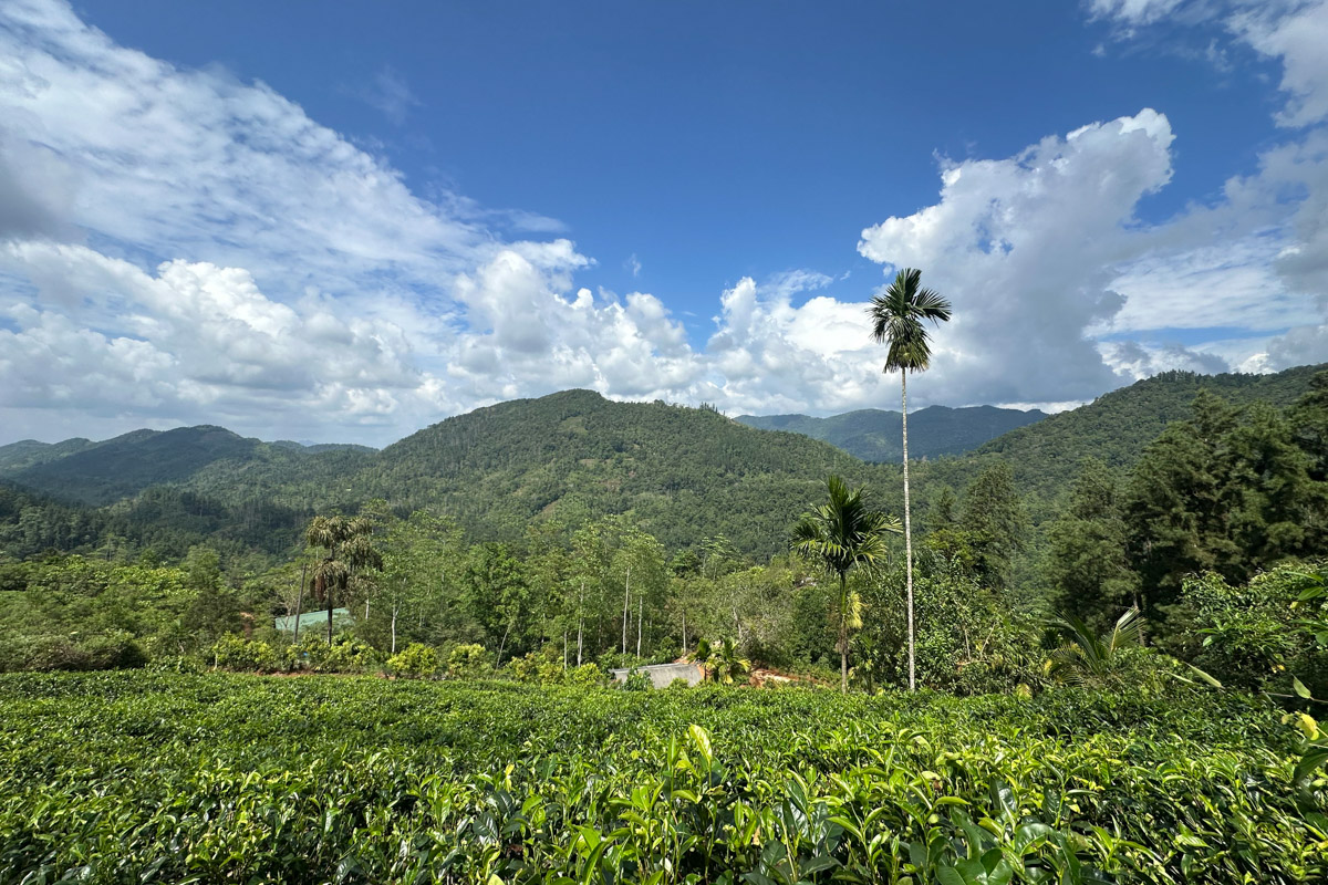 Юлия Покачалова привыкла к свету софитов, съемочным площадкам и плотному концертному графику. Но иногда даже самым активным девушкам стоит нажать на кнопку «Пауза». Поэтому в компании подруги Ольги она отправилась на Шри-Ланку. О том, каково петь русские народные песни в доме ланкийского водителя и почему на острове легко почувствовать себя отпущенной на волю птицей — в нашем материале.