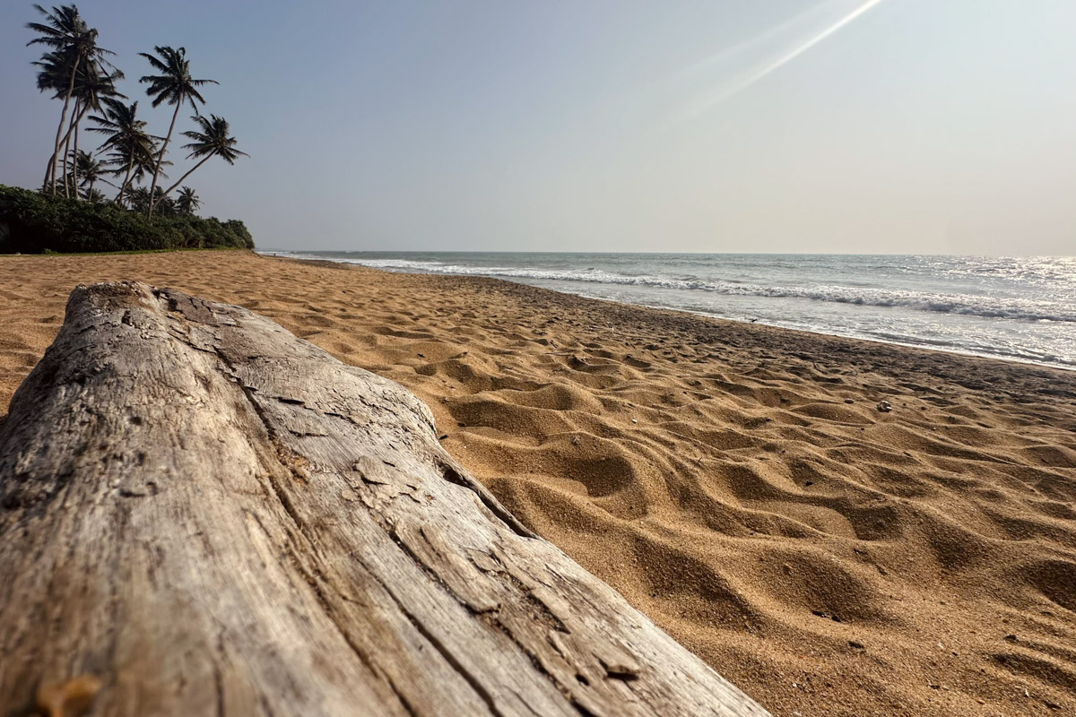 Юлия Покачалова привыкла к свету софитов, съемочным площадкам и плотному концертному графику. Но иногда даже самым активным девушкам стоит нажать на кнопку «Пауза». Поэтому в компании подруги Ольги она отправилась на Шри-Ланку. О том, каково петь русские народные песни в доме ланкийского водителя и почему на острове легко почувствовать себя отпущенной на волю птицей — в нашем материале.