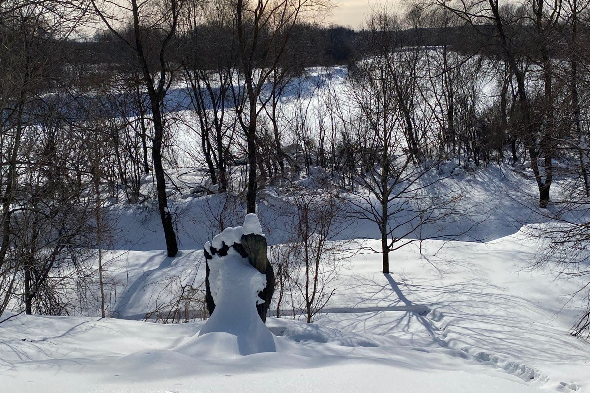 Если во Владимире ищут миниатюры, спрятанные под стеклом, то в Муроме, например, имеется арт-объект, который хорошо виден издалека. Деревянный конь былинного богатыря — одна из самых высоких уличных композиций 33-го региона. А кто еще может составить компанию Бурушке? Собрали топ-7 масштабных фигур.