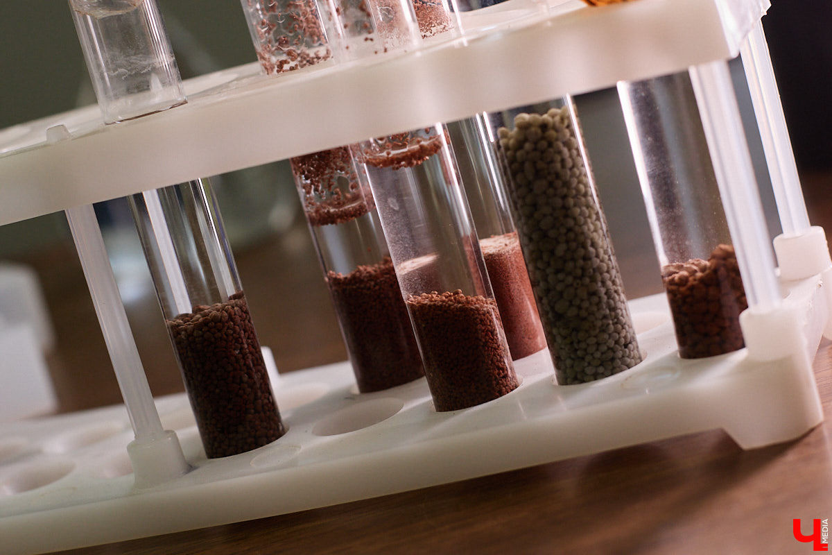 Когда-то соединить живое и неживое могли только сказочники. Сейчас их место заняли ученые, а открытия происходят у нас под боком. Владимирская студентка Юлия Ананьева разработала новый вид бетона, способный самостоятельно устранять повреждения. Как это работает, разбирался «Ключ-Медиа».