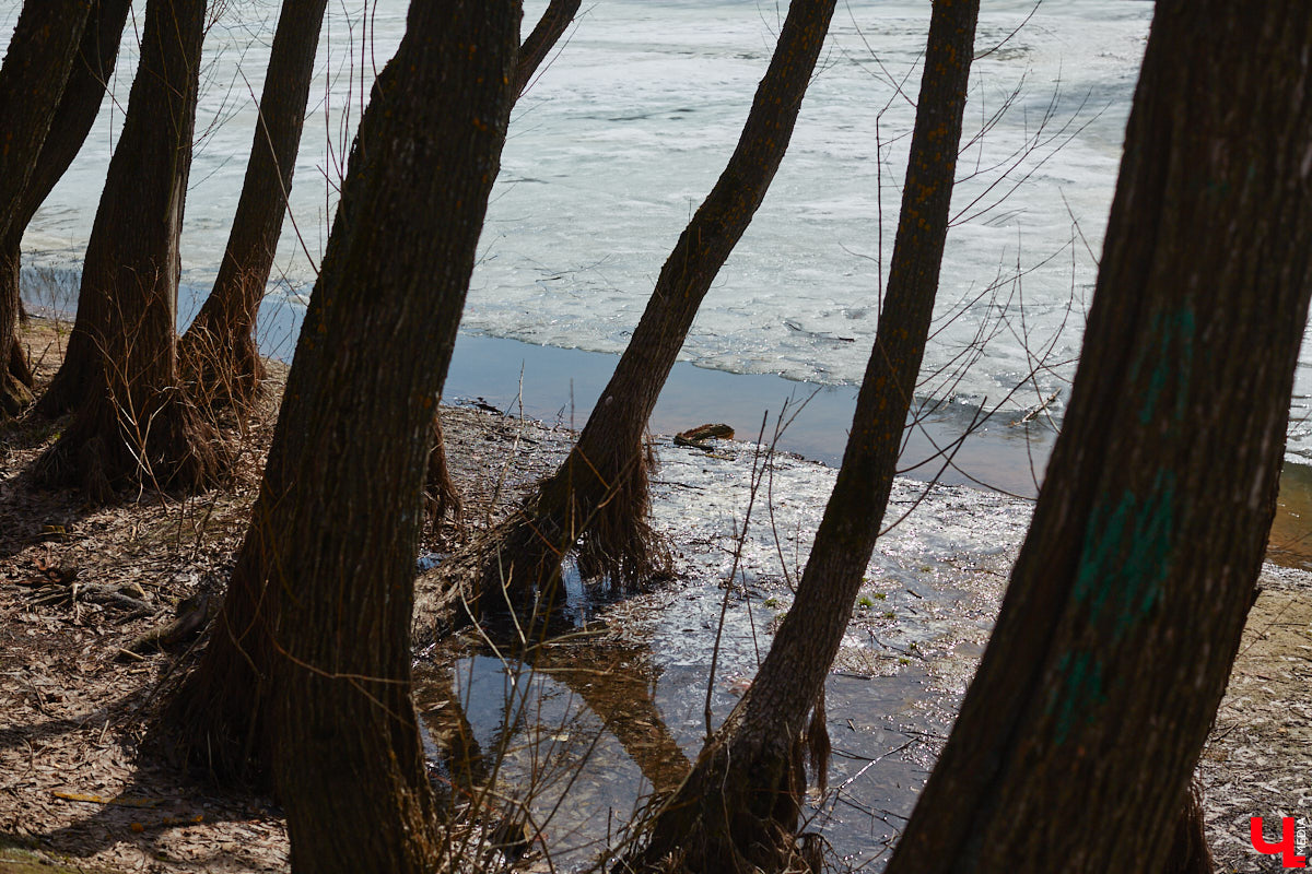 Аномально теплый март не сдает позиций. Вместо последних зимних аккордов на улице разгар весны, и текущая неделя, как обещают синоптики, вновь не разочарует, хотя намеки на скорую смену погодного настроения все-таки появятся.