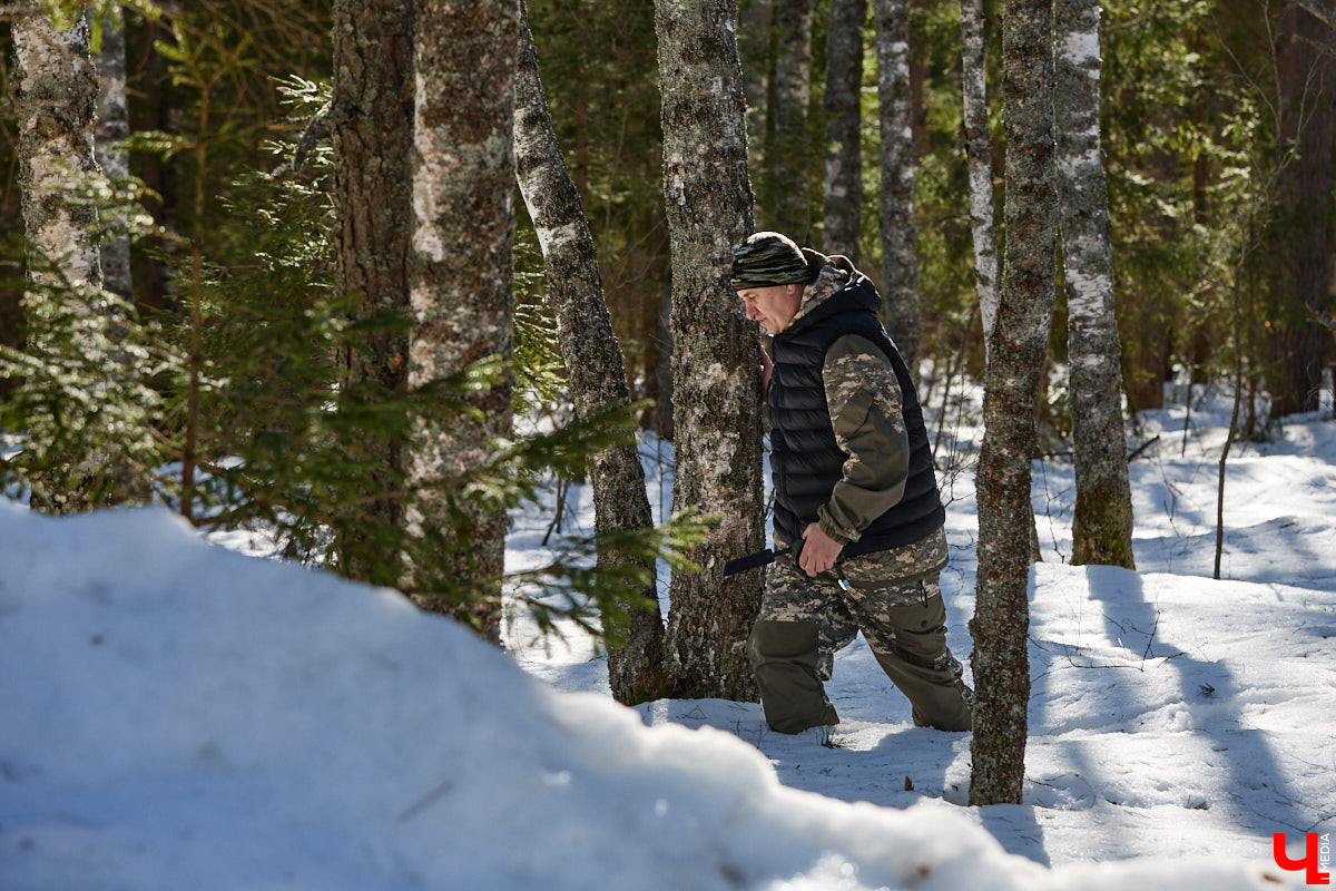 Популяция владимирских зубров разменяла три сотни! Большая часть краснокнижных великанов обитает на территории области, но есть наши животные и в заповеднике Мордовии. «Ключ-Медиа» отправился в Гусь-Хрустальный район, чтобы не только полюбоваться дикими быками, но и узнать, сколько рогатых млекопитающих рода бизонов вышли за пределы охраняемых территорий и теперь свободно гуляют по лесам 33-го региона.