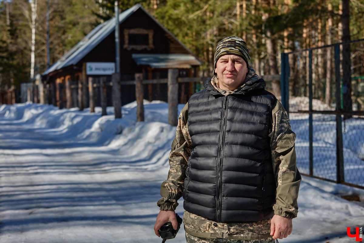 Популяция владимирских зубров разменяла три сотни! Большая часть краснокнижных великанов обитает на территории области, но есть наши животные и в заповеднике Мордовии. «Ключ-Медиа» отправился в Гусь-Хрустальный район, чтобы не только полюбоваться дикими быками, но и узнать, сколько рогатых млекопитающих рода бизонов вышли за пределы охраняемых территорий и теперь свободно гуляют по лесам 33-го региона.